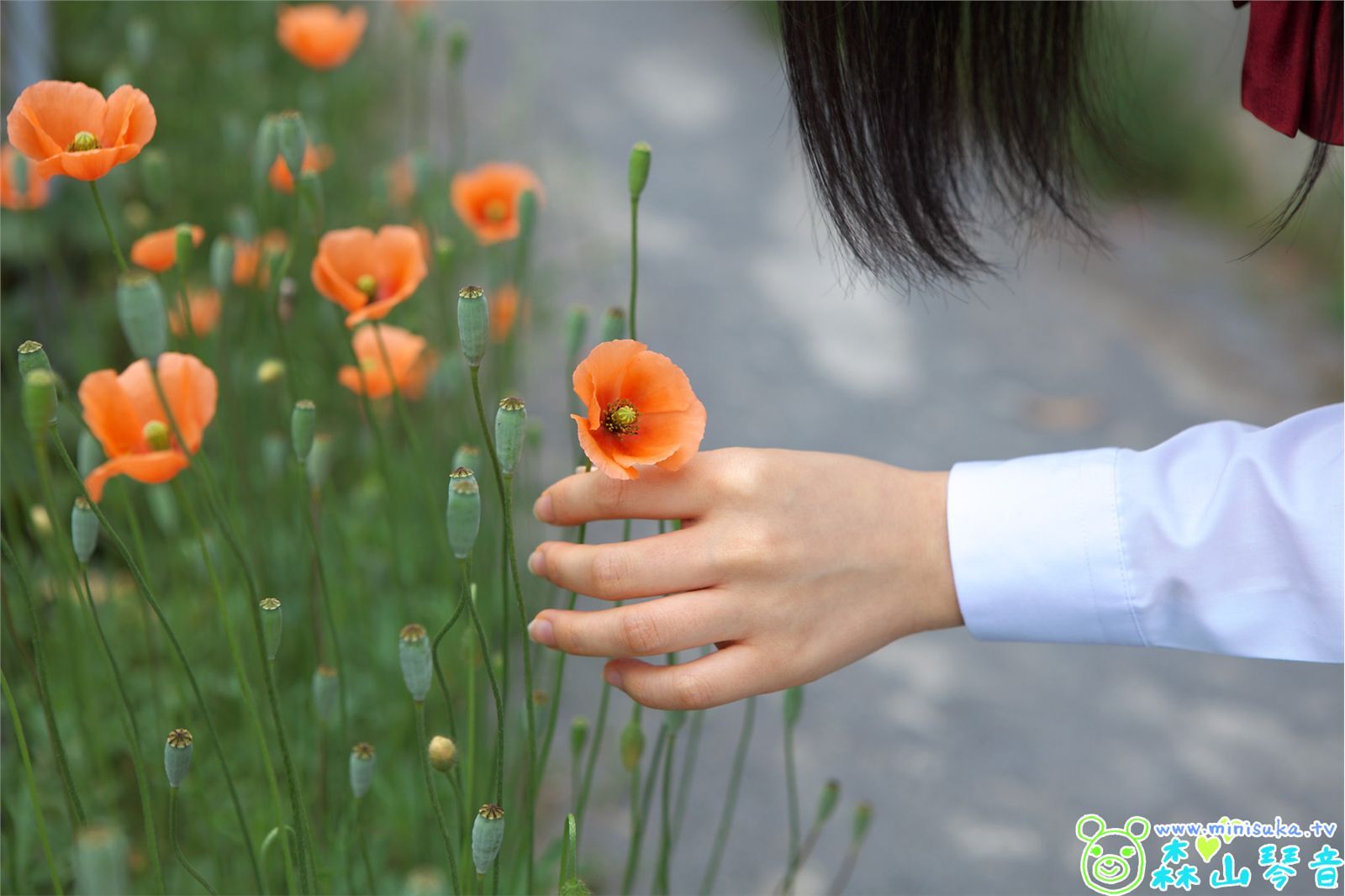 现役女子高生  森山琴音 (1) DreamGallery  日本高清性感美女图片